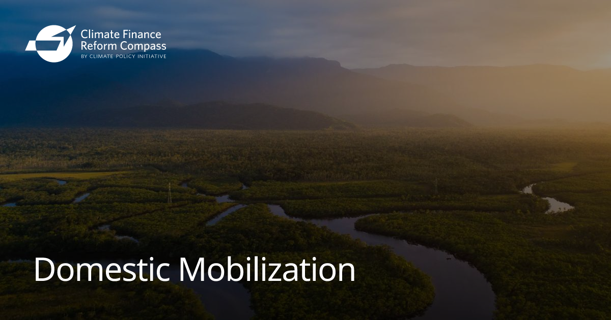 Domestic Mobilization | Climate Finance Reform Compass