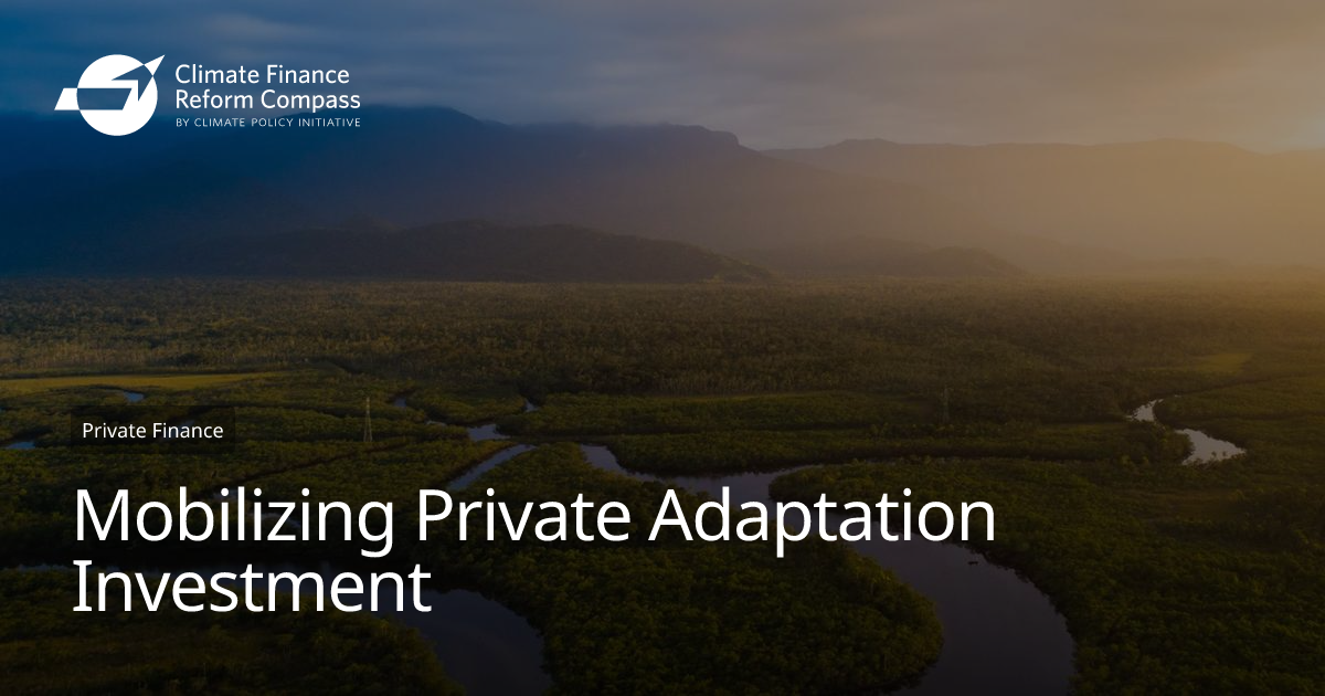 Mobilizing Private Adaptation Investment | Climate Finance Reform Compass